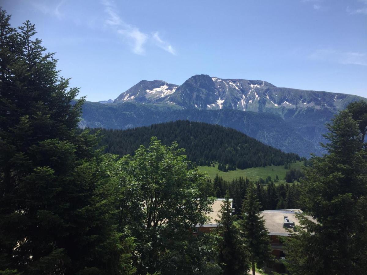 Ferienwohnung Logement Avec Terrasse, Superbe Vue Et Parking Chamrousse Exterior foto